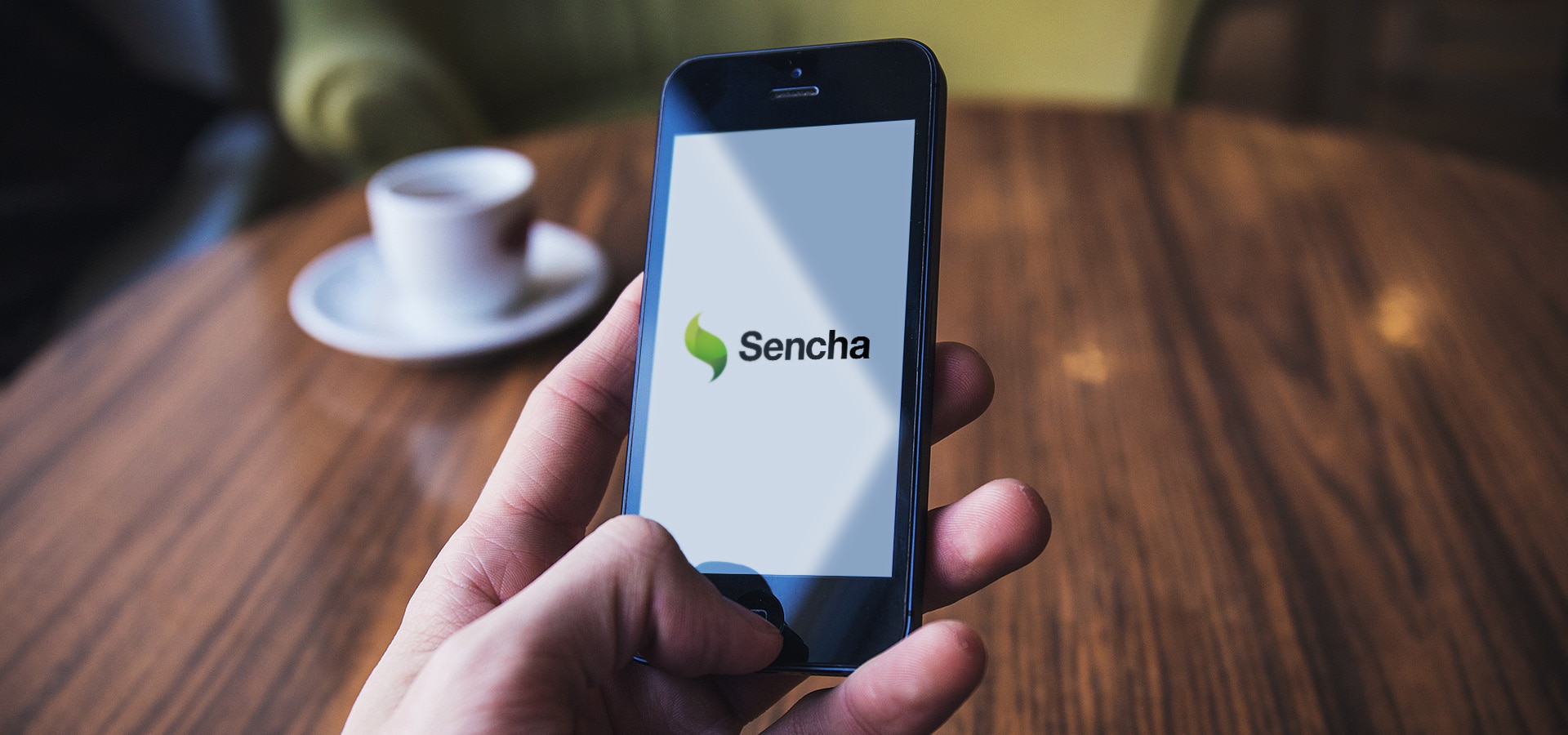 Sencha Touch App Development 